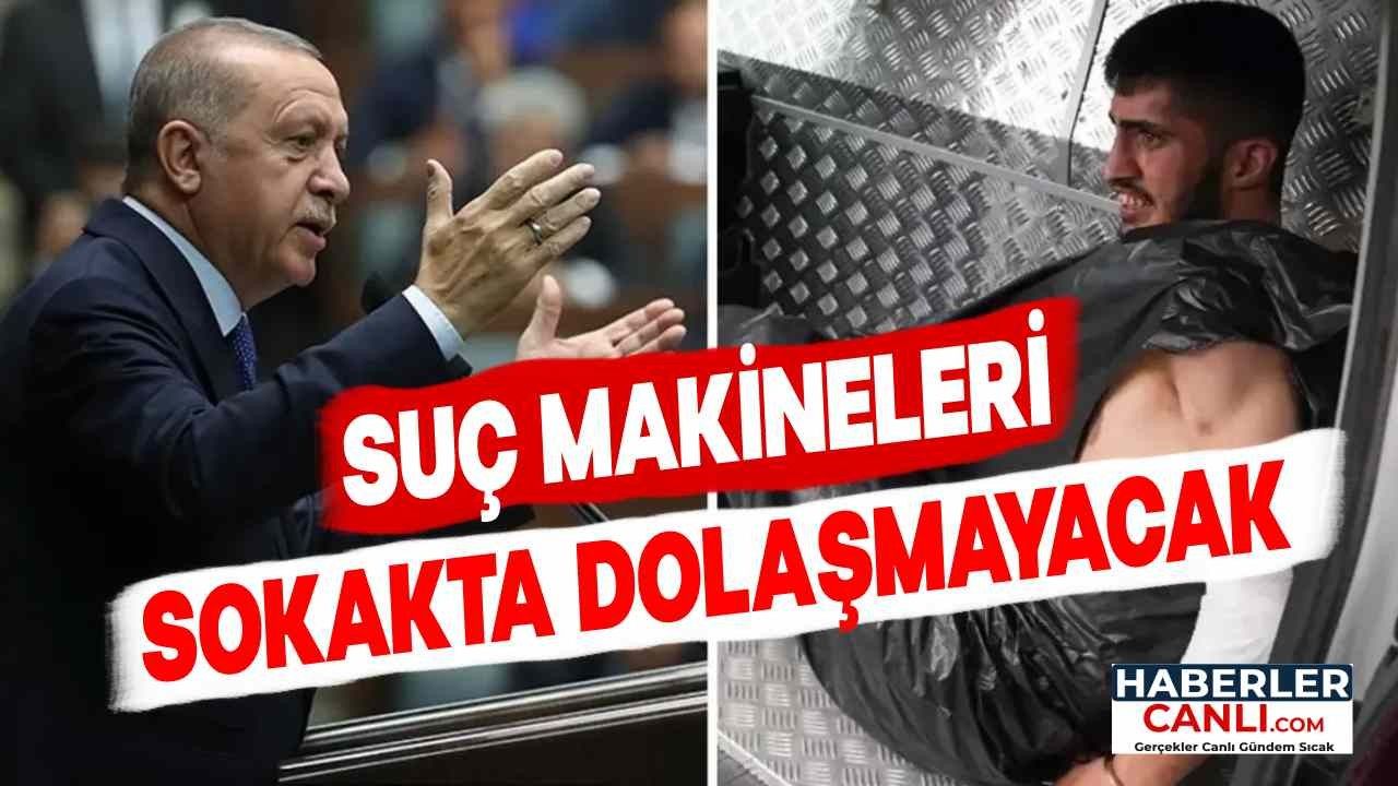 Suç Makineleri Sokakta Dolaşmayacak: Erdoğan'dan Sert Uyarı ve Yeni Adımlar