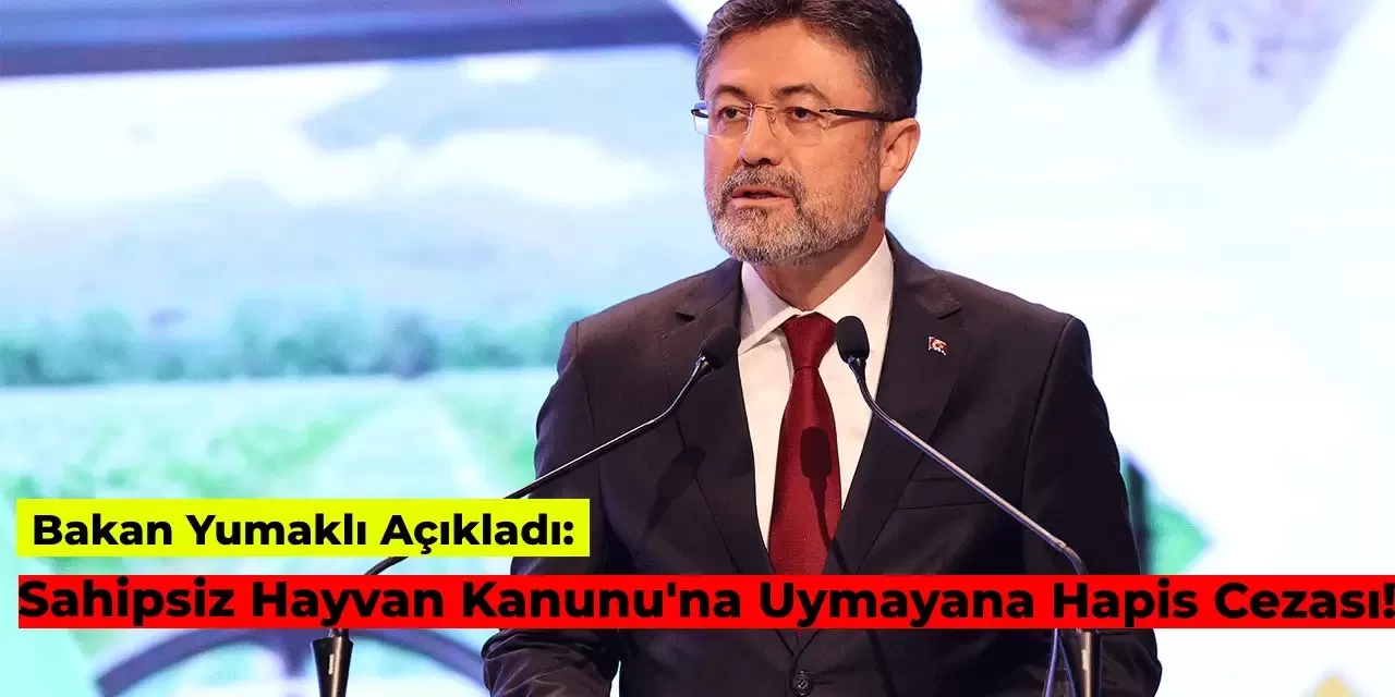 Son Dakika: Tarım ve Orman Bakanı Açıkladı: Sahipsiz Hayvan Kanununa Uymayanlara Hapis Cezası!