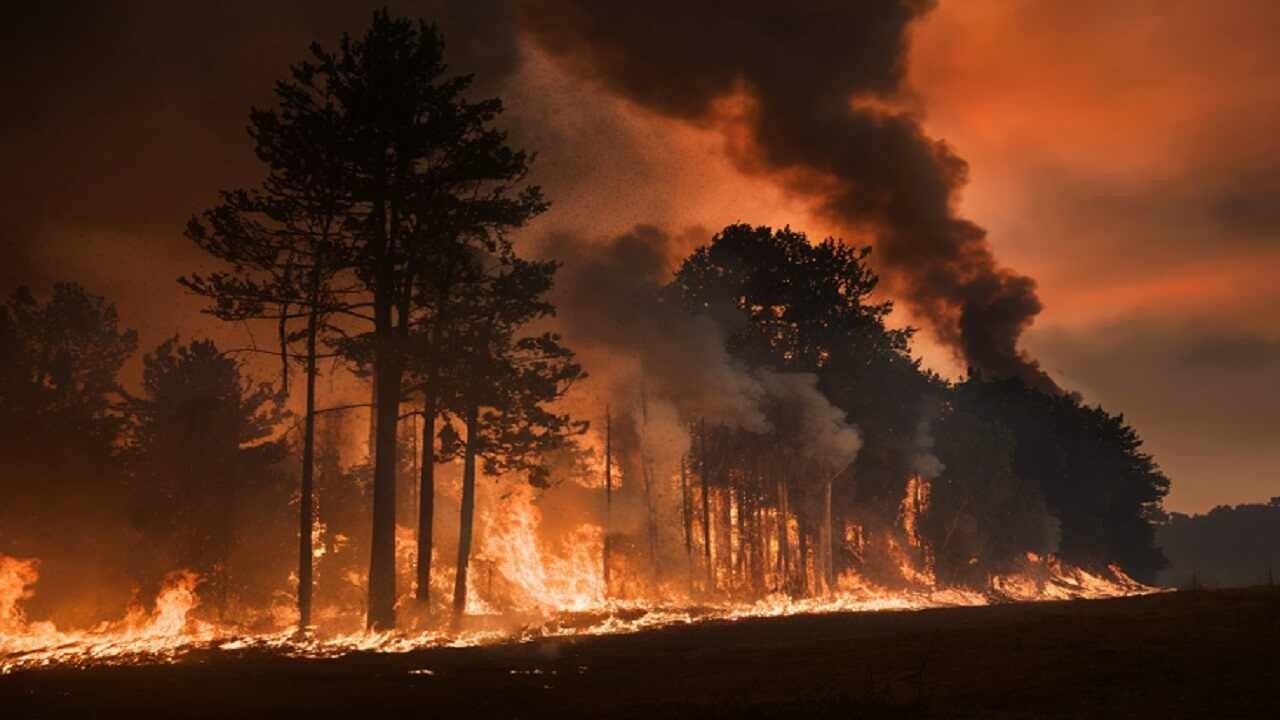 Bolu Kâbusu Yaşamaya Devam Ediyor: Alevler Durdurulamadı