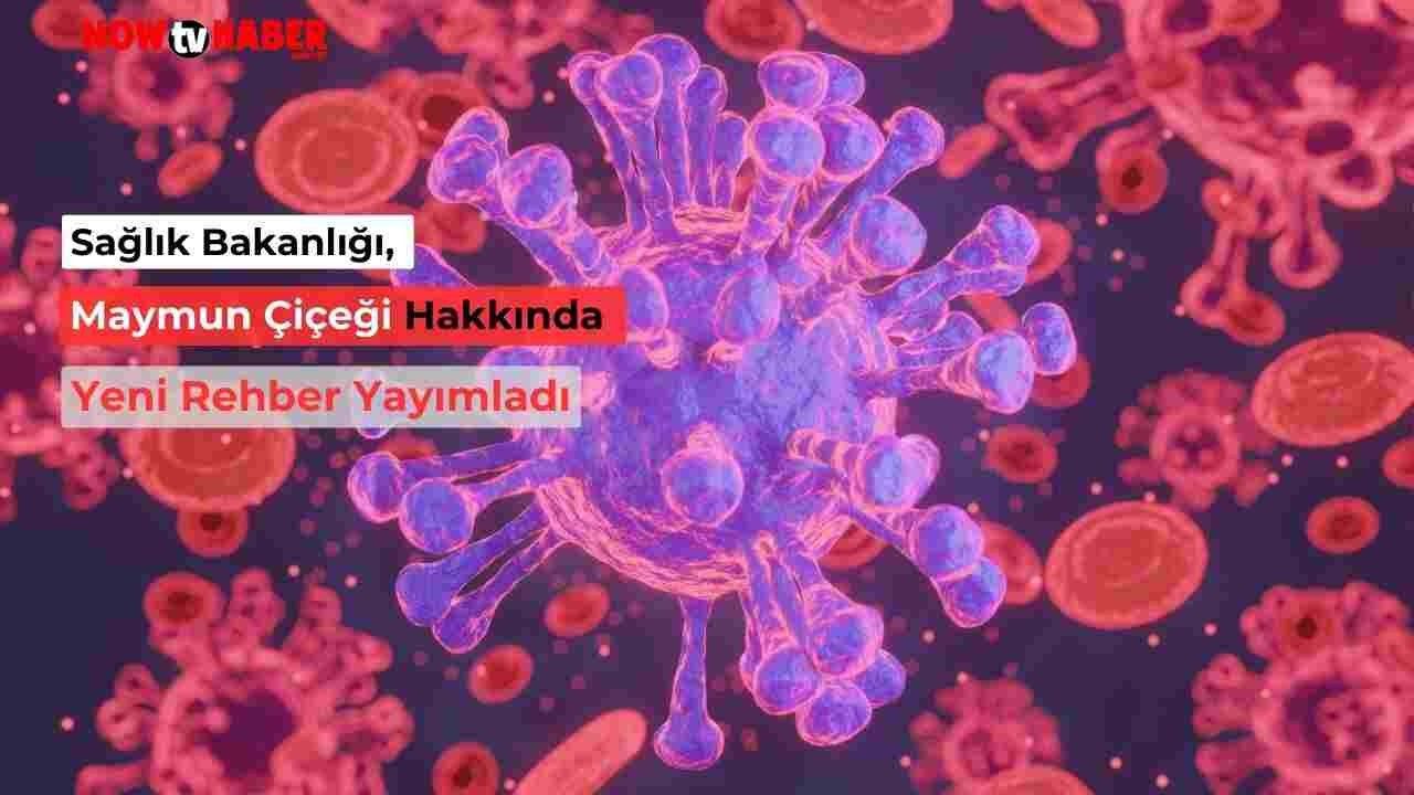 Sağlık Bakanlığı Yayımladı! Maymun Çiçeği Hakkında Tüm Bilinmesi Gerekenler O Rehberde!