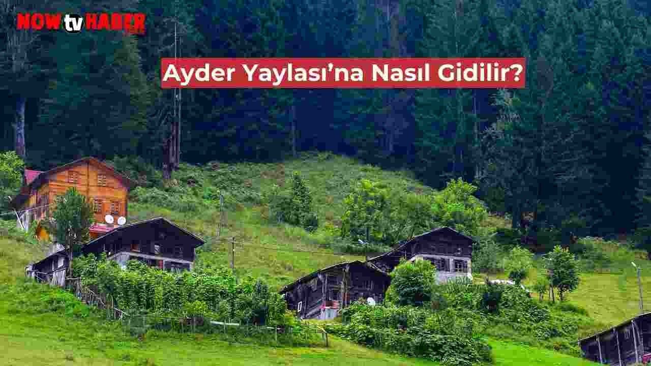 Ayder Yaylası Nerededir, Nasıl Gidilir? Ayder Yaylası Hangi Şehirdedir?