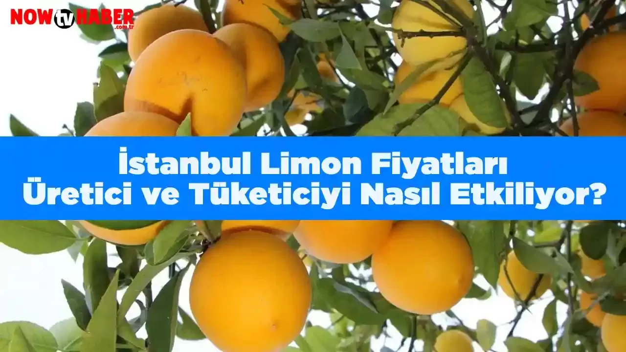 İstanbul Limon Fiyatları Üretici ve Tüketiciyi Nasıl Etkiliyor? 2024