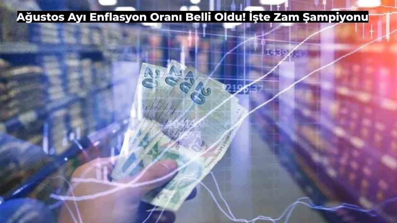 2024 Ağustos Ayı Enflasyon Oranları Açıklandı! Enflasyon Şampiyonu Eğitim Oldu