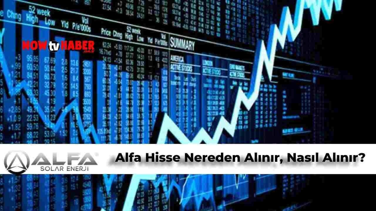 Alfa Hisse Nasıl Alınır? Alfa Hisse Nereden Alınır?