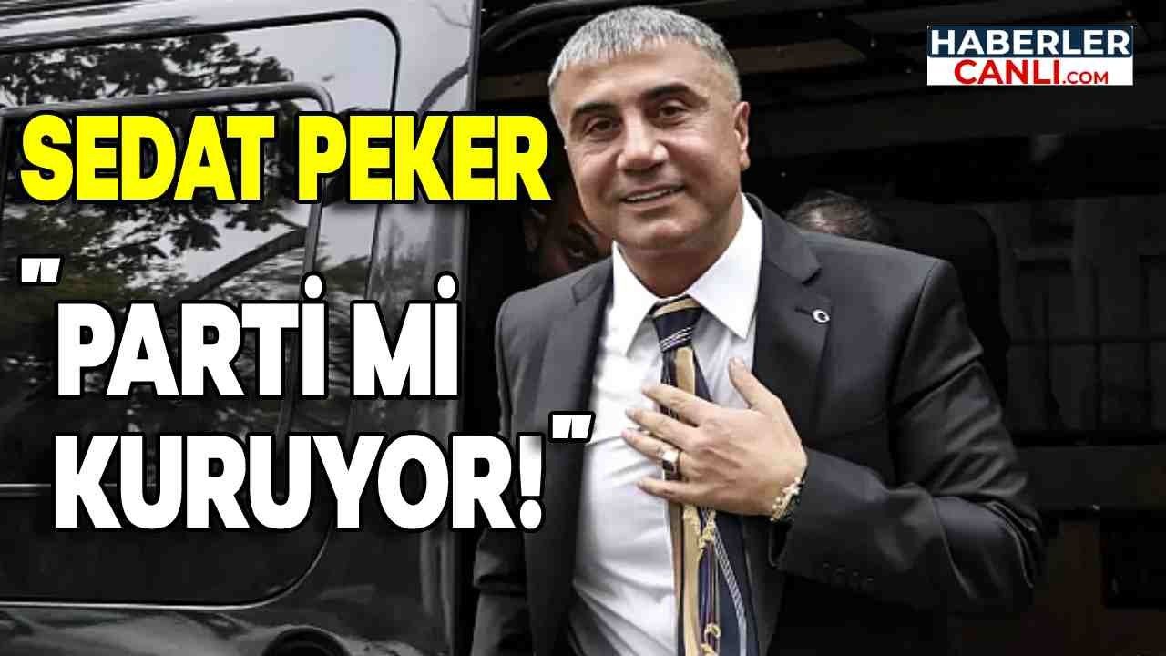 Sedat Peker Parti mi Kuruyor? Sorusu Merak Ediliyor? Peki Avukatının Kullandığı Açıklaması Nedir?