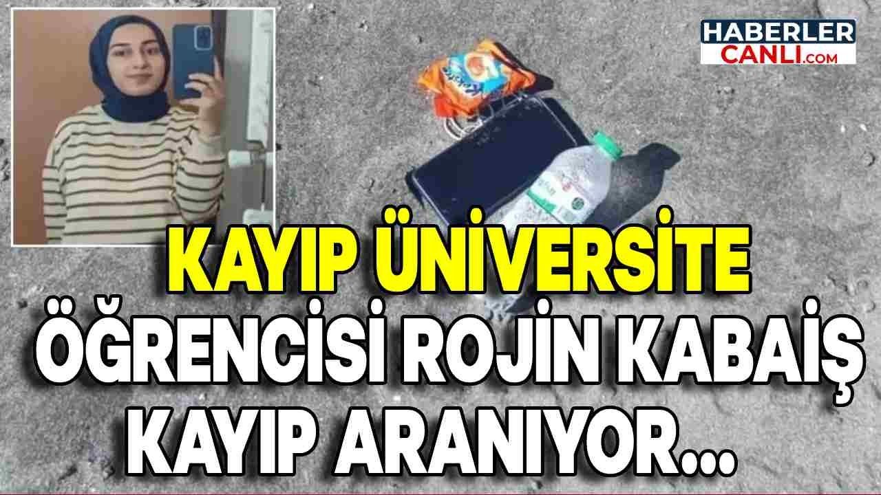 Van Gölü'nde Rojin Kabaiş Kayıp Üniversite Öğrenci: Telefon ve Kulaklık Bulundu