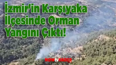 İzmir'in Karşıyaka İlçesinde Orman Yangını Çıktı!