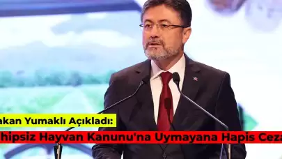 Son Dakika: Tarım ve Orman Bakanı Açıkladı: Sahipsiz Hayvan Kanununa Uymayanlara Hapis Cezası!