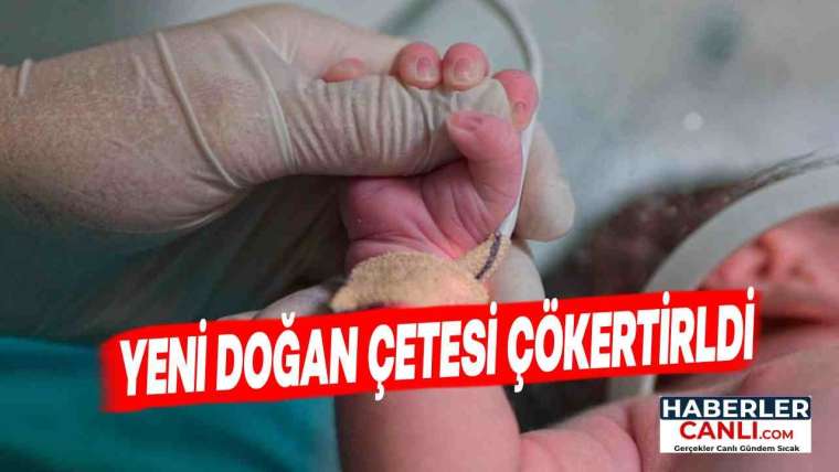 Yeni Doğan Çetesi