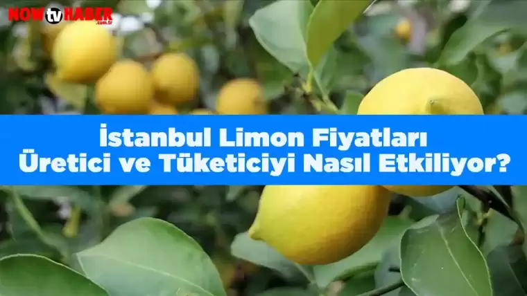 Limon