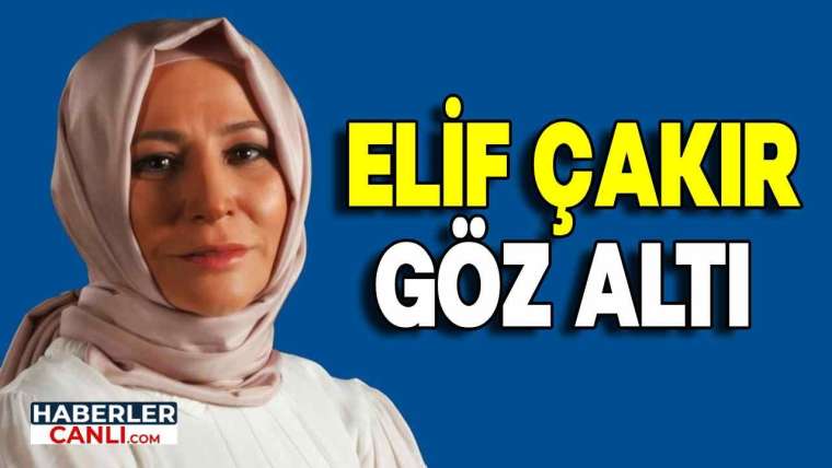 Elif Çakır Göz Altı Kararı