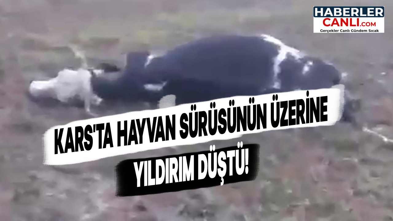 Kars'ta Hayvan Sürüsünün Üzerine Yıldırım Düştü