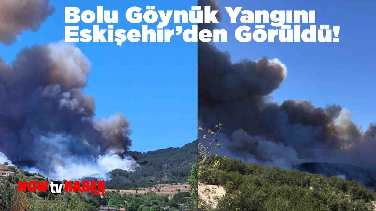 Bolu Yangına Teslim Oldu! Bolu Göynük Yangını Eskişehir’den Görüldü!