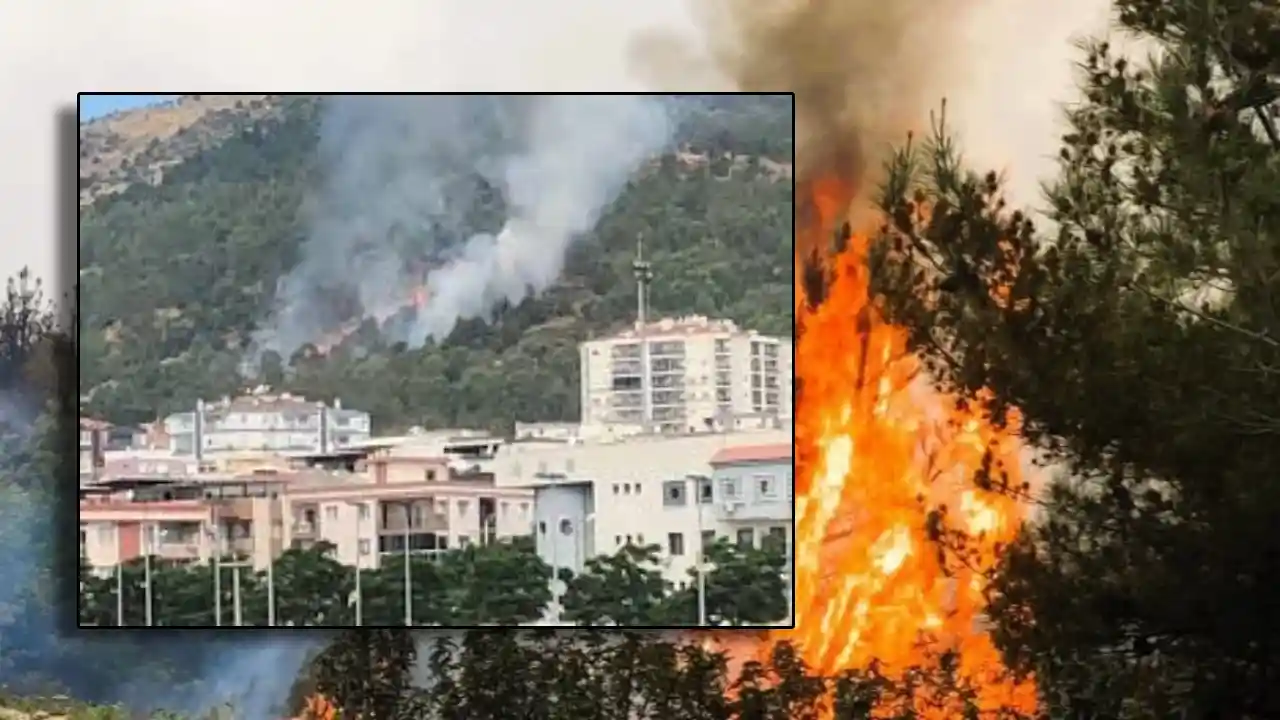 İzmir Karşıyaka Örnekköy Orman Yangını