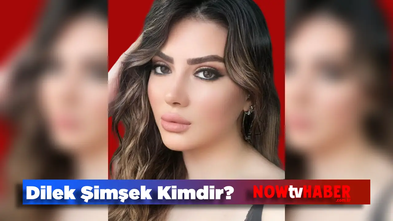 Dilek Şimşek Profil