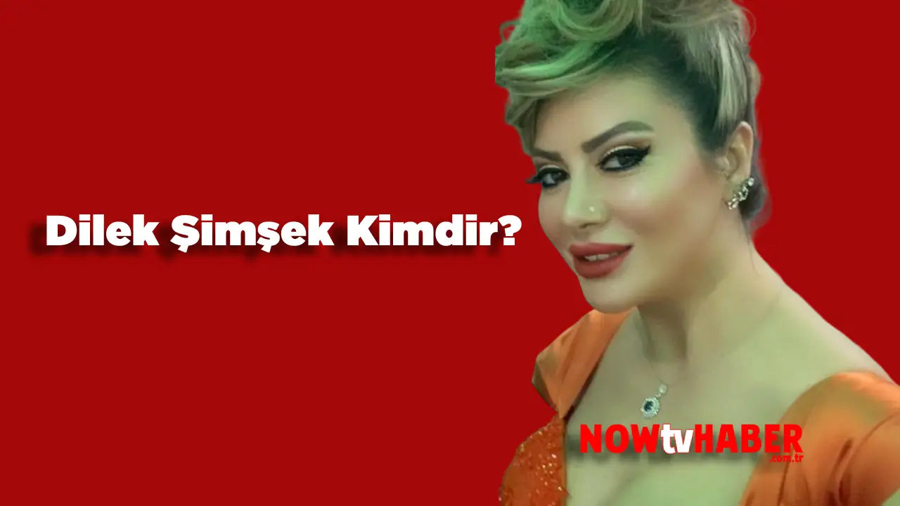 Dilek Şimşek Resmi